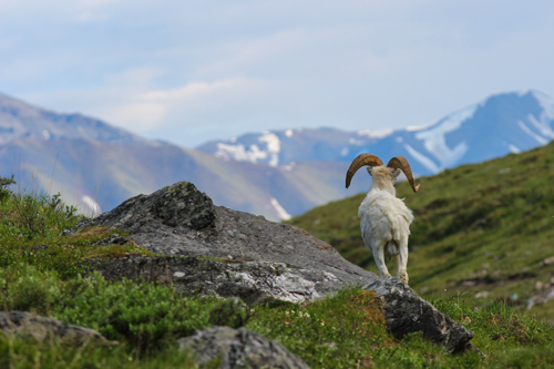 Alaska 2012