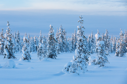Finnland 2018